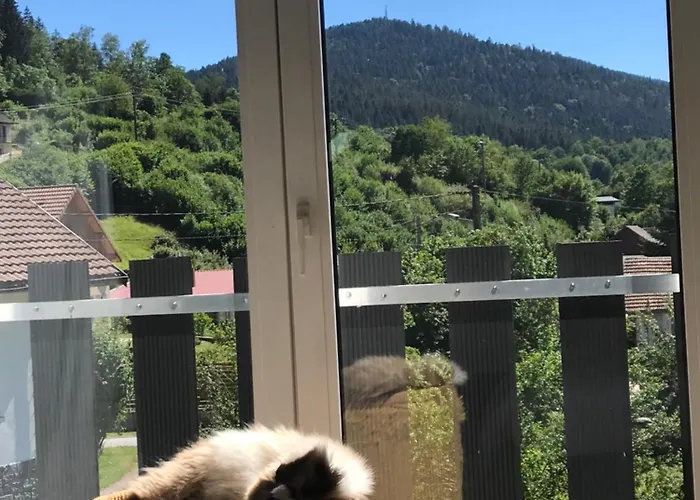 Chez Faby * Cornimont